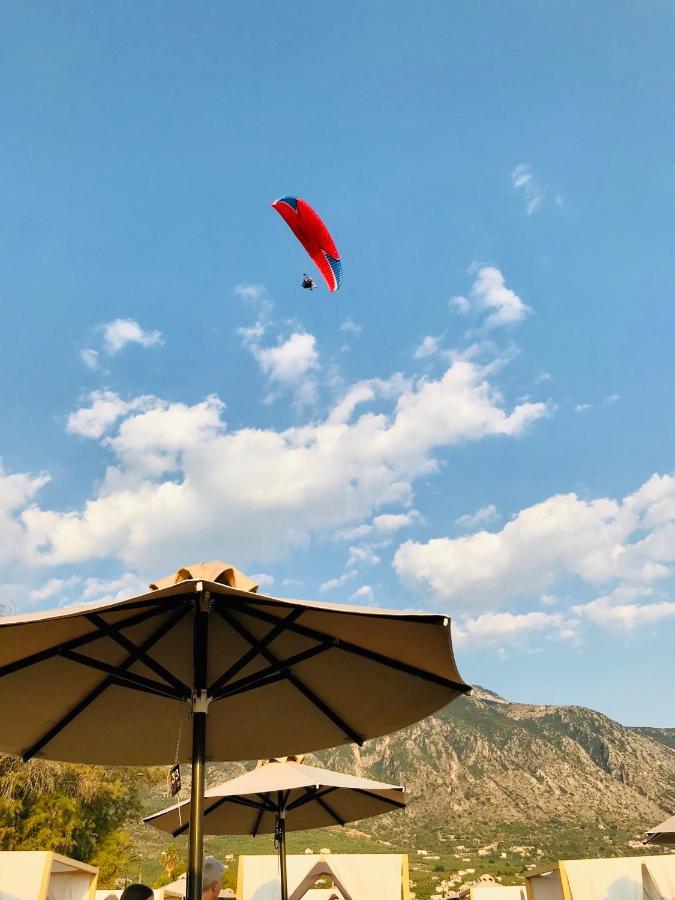 Balsam Suite - 50M To The Beach كالاماتا المظهر الخارجي الصورة